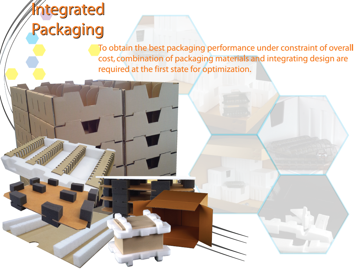 Integrated Packaging